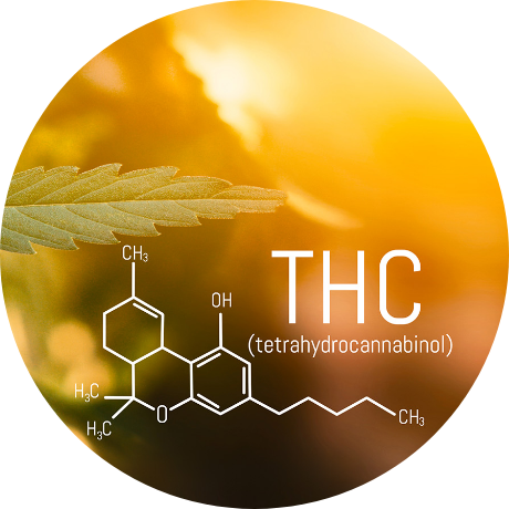 THC Content